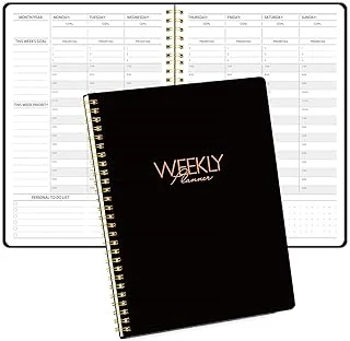 Weekly Appointment Planner with Hourly Schedule